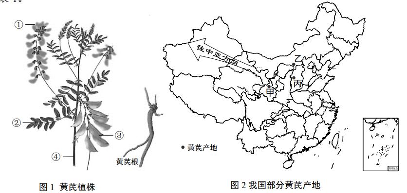 图1 黄芪植株器官结构图 与 图2 我国部分黄芪产地分布（甲、乙、丙，往中亚方向）