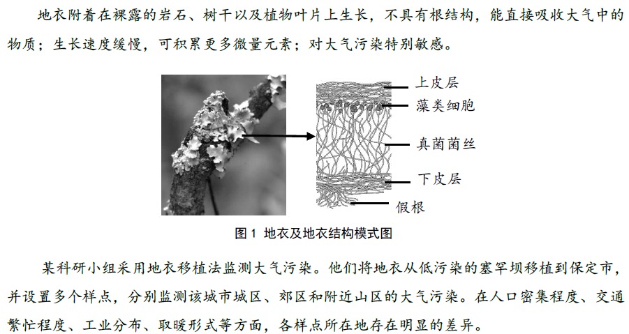 图1 地衣及地衣共生微观结构模式图（上皮层、藻类细胞、真菌菌丝、下皮层、假根）